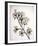 Flowering Cherry II-Kathy Mahan-Framed Photo