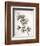 Flowering Cherry II-Kathy Mahan-Framed Photo