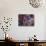 Flowering Cherry Tree, Ct-Kurt Freundlinger-Photographic Print displayed on a wall