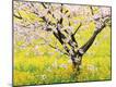 Premium Photographic Print