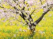 Premium Photographic Print