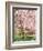 Flowering Cherry Tree, Seattle Arboretum, Washington, USA-Janell Davidson-Framed Photographic Print