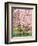 Flowering Cherry Tree, Seattle Arboretum, Washington, USA-Janell Davidson-Framed Photographic Print