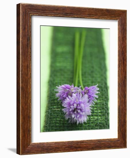 Flowering Chives-Elisabeth Cölfen-Framed Photographic Print