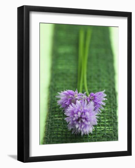 Flowering Chives-Elisabeth Cölfen-Framed Photographic Print