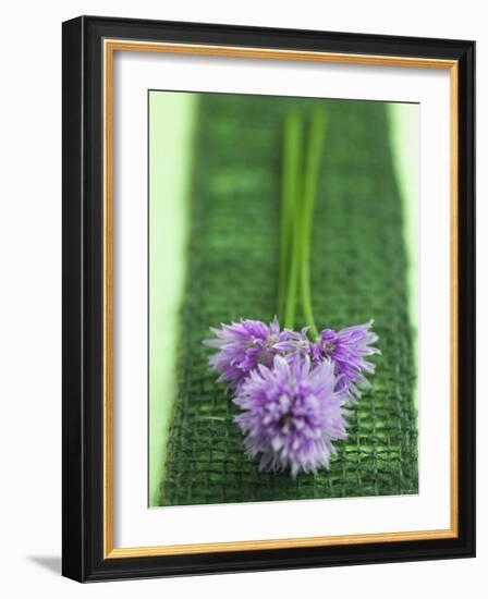 Flowering Chives-Elisabeth Cölfen-Framed Photographic Print