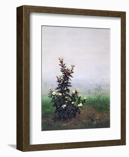 Flowering Chrysanthemum with Worker, 1863-Leon Bonvin-Framed Giclee Print