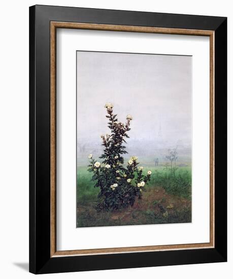 Flowering Chrysanthemum with Worker, 1863-Leon Bonvin-Framed Giclee Print