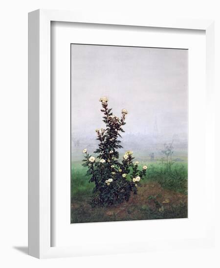 Flowering Chrysanthemum with Worker, 1863-Leon Bonvin-Framed Giclee Print