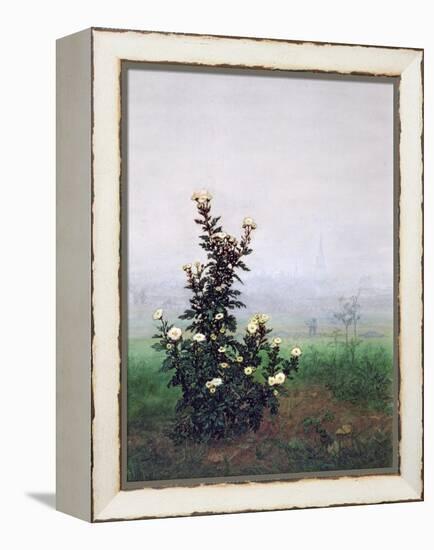 Flowering Chrysanthemum with Worker, 1863-Leon Bonvin-Framed Premier Image Canvas