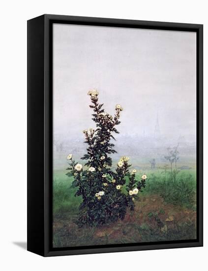 Flowering Chrysanthemum with Worker, 1863-Leon Bonvin-Framed Premier Image Canvas