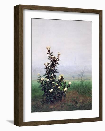 Flowering Chrysanthemum with Worker, 1863-Leon Bonvin-Framed Giclee Print