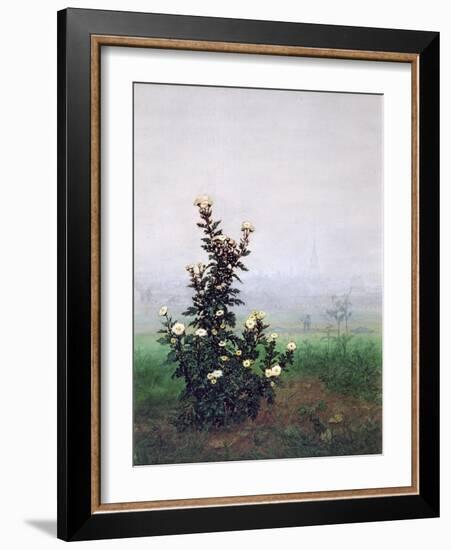 Flowering Chrysanthemum with Worker, 1863-Leon Bonvin-Framed Giclee Print