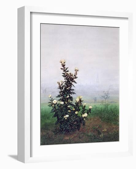 Flowering Chrysanthemum with Worker, 1863-Leon Bonvin-Framed Giclee Print