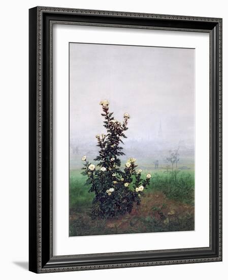 Flowering Chrysanthemum with Worker, 1863-Leon Bonvin-Framed Giclee Print