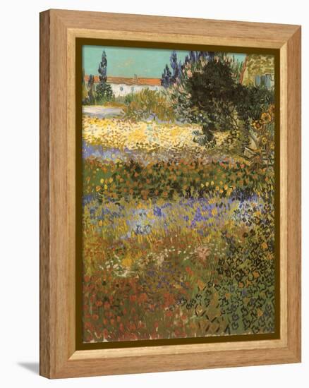 Flowering Garden, 1888-Vincent van Gogh-Framed Premier Image Canvas