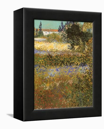 Flowering Garden, 1888-Vincent van Gogh-Framed Premier Image Canvas