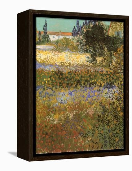 Flowering Garden, 1888-Vincent van Gogh-Framed Premier Image Canvas