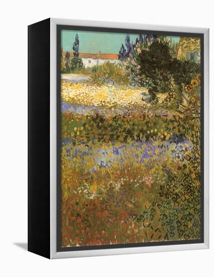 Flowering Garden, 1888-Vincent van Gogh-Framed Premier Image Canvas