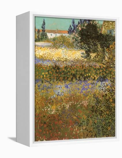 Flowering Garden, 1888-Vincent van Gogh-Framed Premier Image Canvas