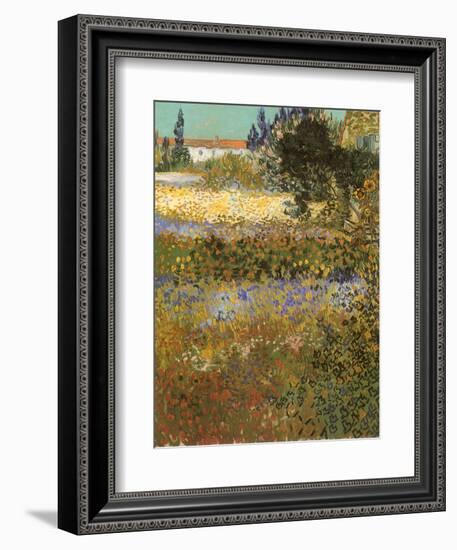 Flowering Garden, 1888-Vincent van Gogh-Framed Giclee Print