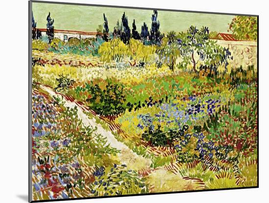 Flowering Garden with Path, Arles, 1888-Vincent van Gogh-Mounted Giclee Print