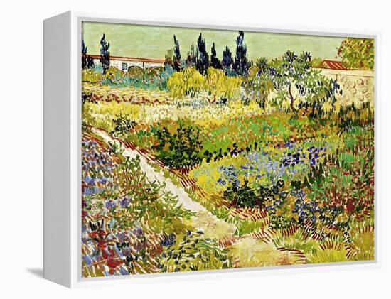 Flowering Garden with Path, Arles, 1888-Vincent van Gogh-Framed Premier Image Canvas