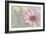 Flowering Happiness-Gilbert Claes-Framed Giclee Print