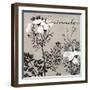 Flowering Herbs IV-null-Framed Giclee Print