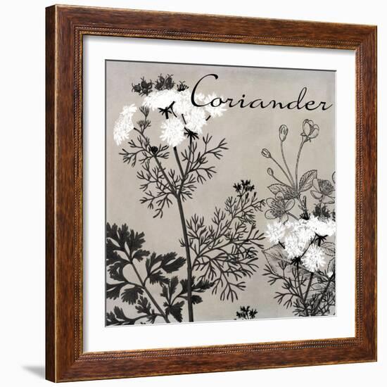 Flowering Herbs IV-null-Framed Giclee Print