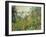 Flowering Meadow, Vetheuil, 1880-Claude Monet-Framed Giclee Print