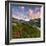 Flowering of rhododendrons at sunrise, Unterer Segnesboden, Flims, District of Imboden, Switzerland-Francesco Bergamaschi-Framed Photographic Print