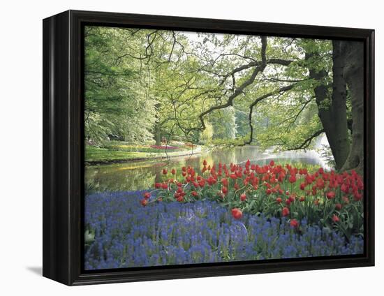 Flowering Plants in a Garden-null-Framed Premier Image Canvas