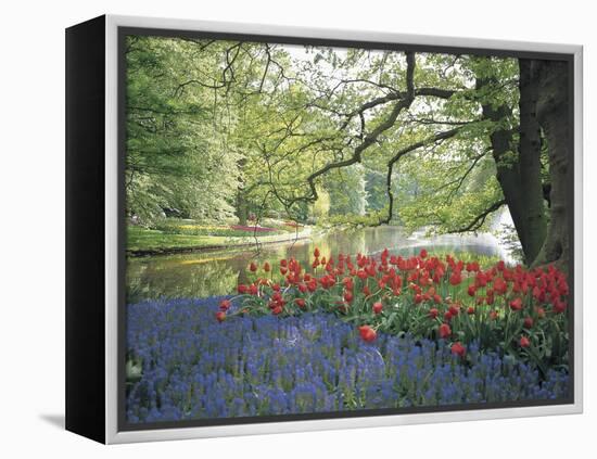 Flowering Plants in a Garden-null-Framed Premier Image Canvas