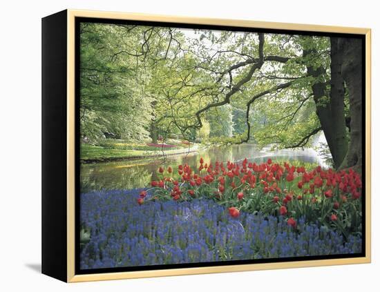 Flowering Plants in a Garden-null-Framed Premier Image Canvas