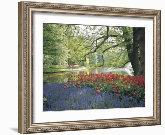 Flowering Plants in a Garden-null-Framed Photographic Print