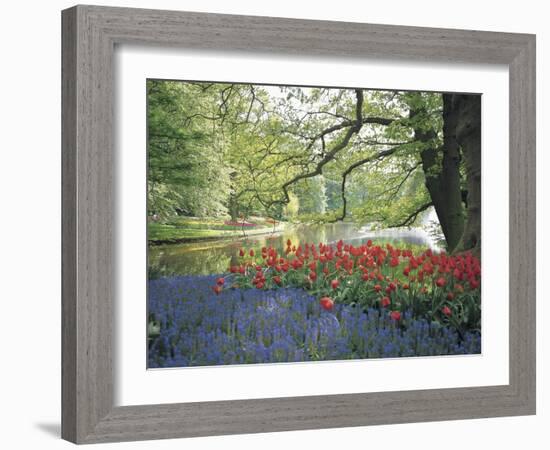 Flowering Plants in a Garden-null-Framed Photographic Print