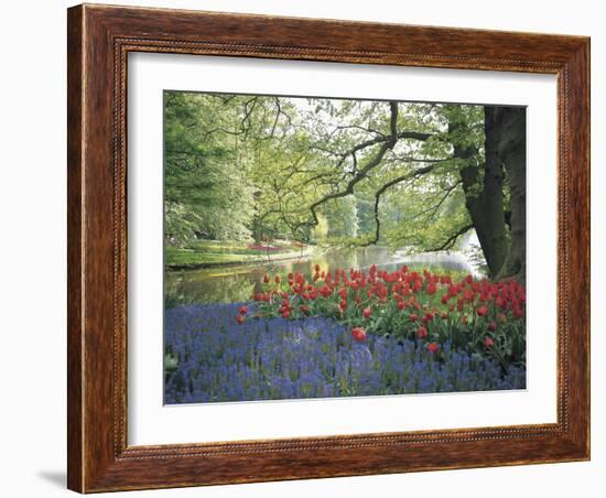 Flowering Plants in a Garden-null-Framed Photographic Print