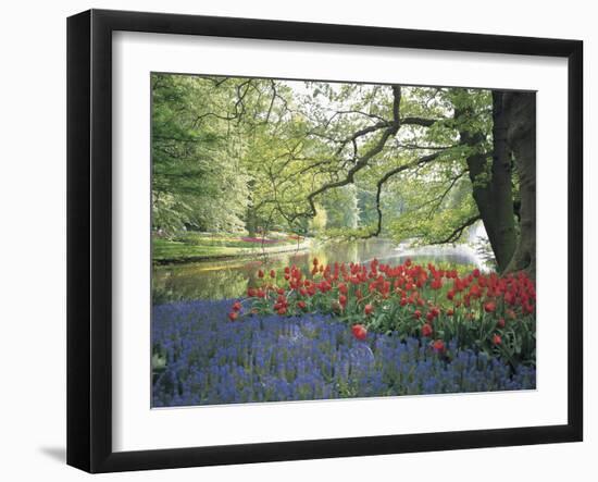 Flowering Plants in a Garden-null-Framed Photographic Print