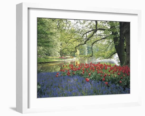 Flowering Plants in a Garden-null-Framed Photographic Print