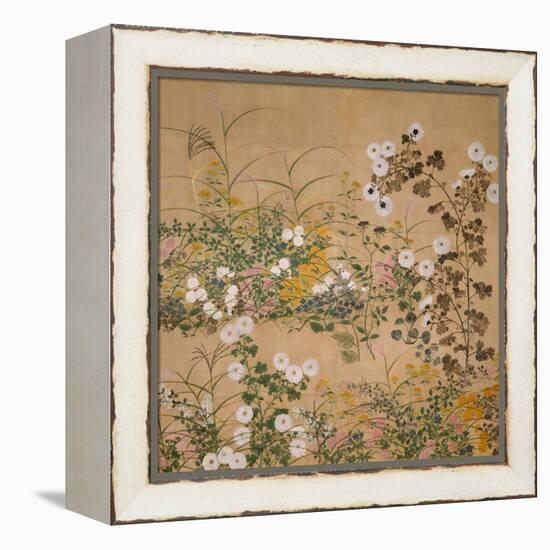 Flowering Plants in Autumn, 18th Century-Ogata Korin-Framed Premier Image Canvas