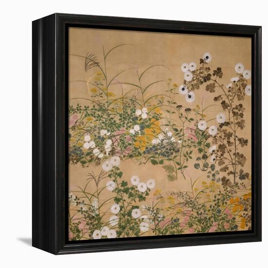 Flowering Plants in Autumn, 18th Century-Ogata Korin-Framed Premier Image Canvas