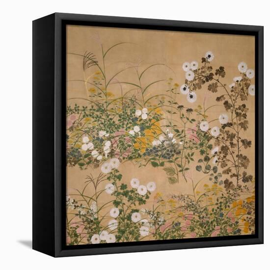 Flowering Plants in Autumn, 18th Century-Ogata Korin-Framed Premier Image Canvas