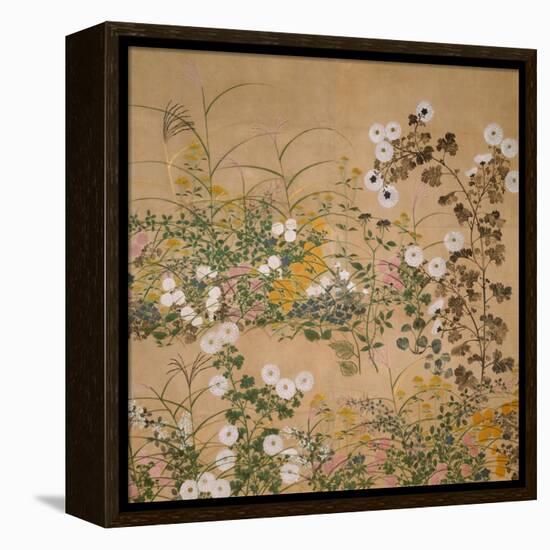 Flowering Plants in Autumn, 18th Century-Ogata Korin-Framed Premier Image Canvas