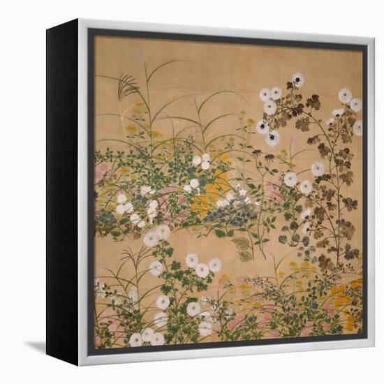 Flowering Plants in Autumn, 18th Century-Ogata Korin-Framed Premier Image Canvas