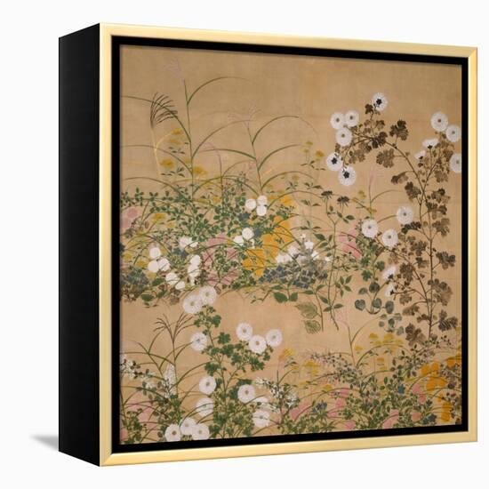 Flowering Plants in Autumn, 18th Century-Ogata Korin-Framed Premier Image Canvas