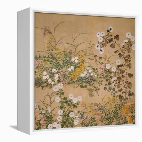 Flowering Plants in Autumn, 18th Century-Ogata Korin-Framed Premier Image Canvas