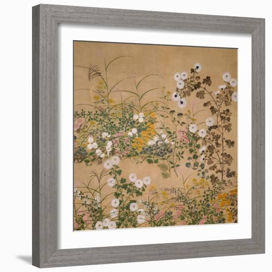 Flowering Plants in Autumn, 18th Century-Ogata Korin-Framed Giclee Print