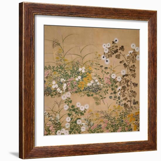 Flowering Plants in Autumn, 18th Century-Ogata Korin-Framed Giclee Print