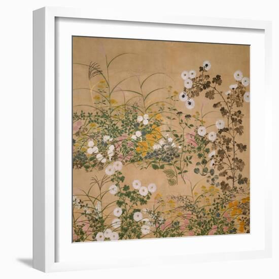 Flowering Plants in Autumn, 18th Century-Ogata Korin-Framed Giclee Print